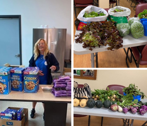 Packaged food items and fresh produce donations